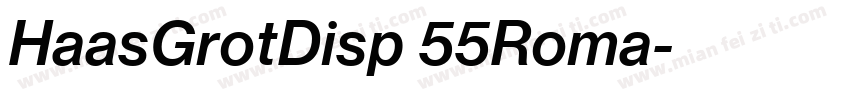 HaasGrotDisp 55Roma字体转换